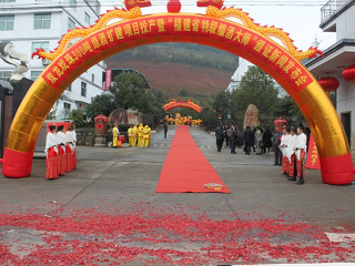 雙龍戲珠酒業(yè)300噸原酒擴建項目投產(chǎn)暨福建省特級釀酒大師頒證儀式在我司隆重舉行